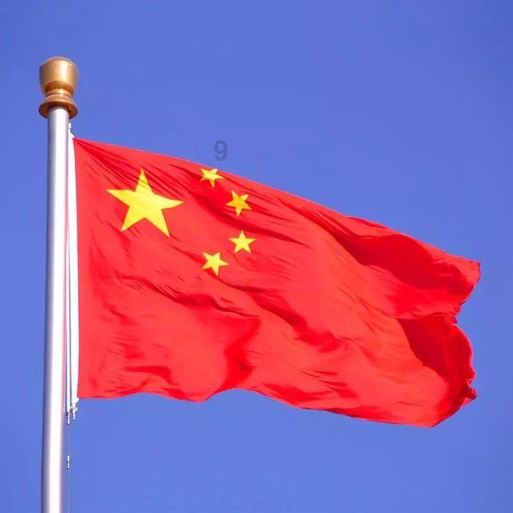 动物拼一拼