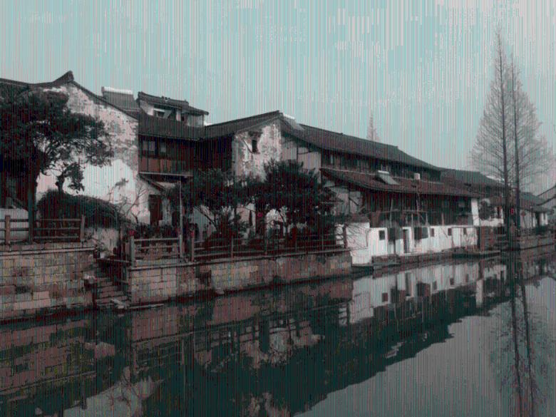 除虫大师